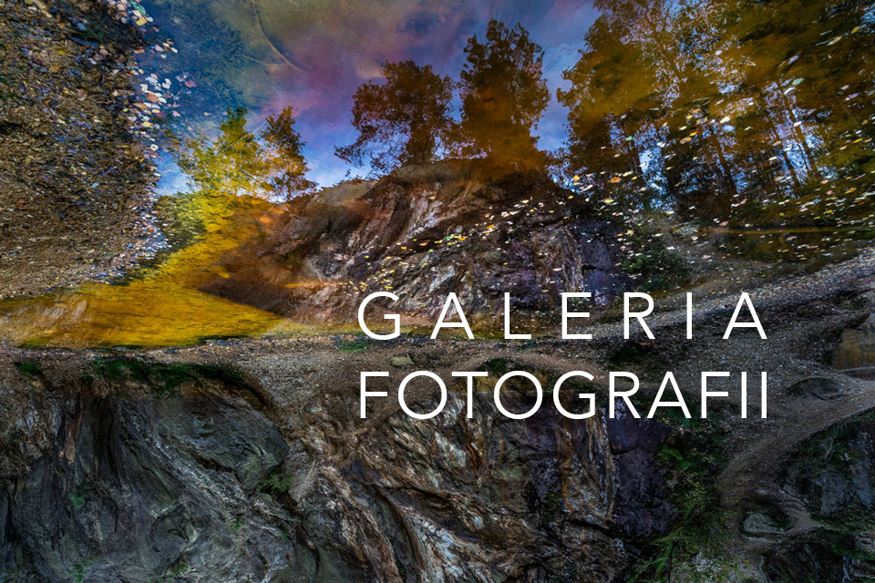 Galeria