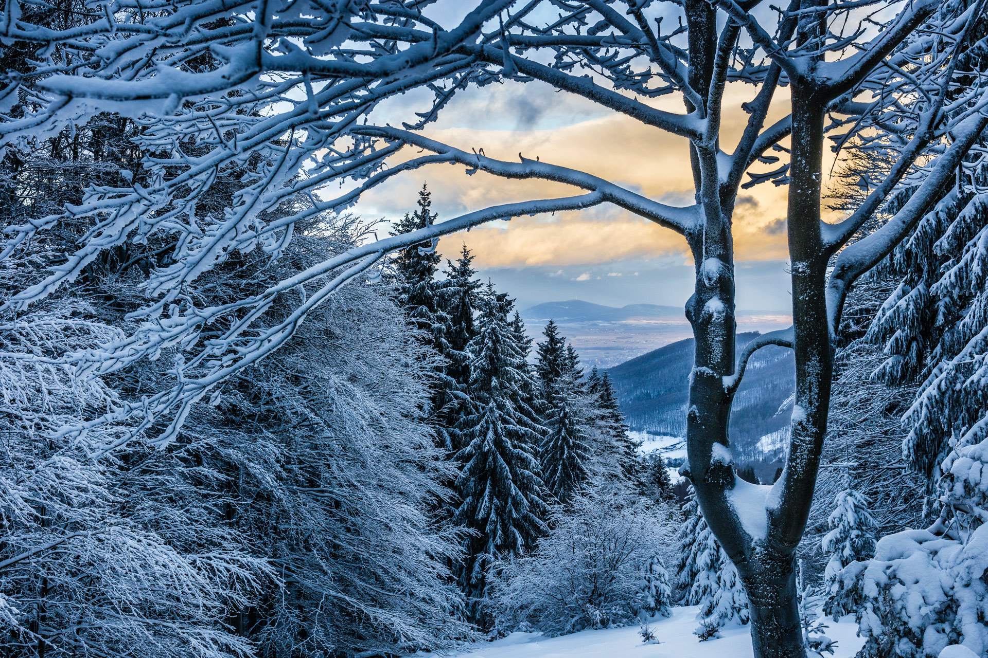 Landscape. Winter 1 Winter 1