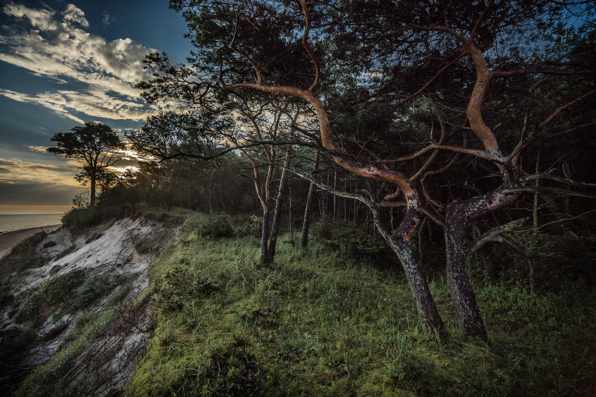 Landscape. Cool summer Cool summer