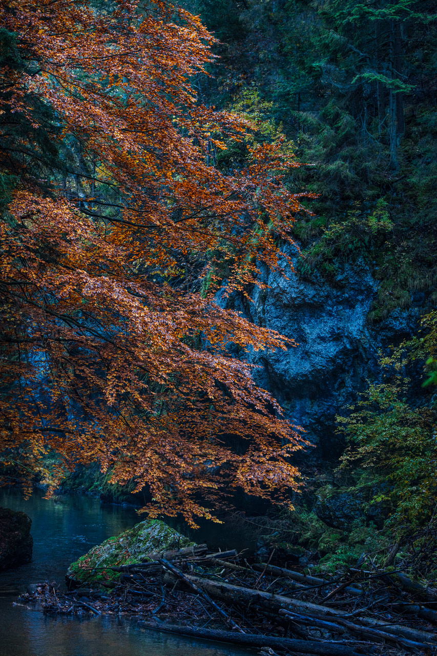 Landscape. Three colours Three colours