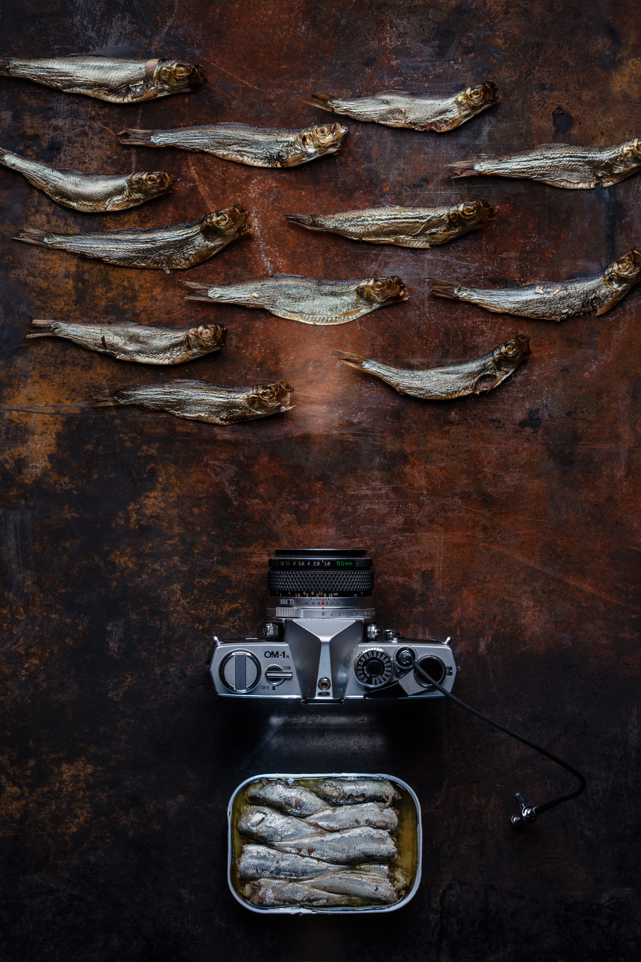 Still-life. Memory Memory