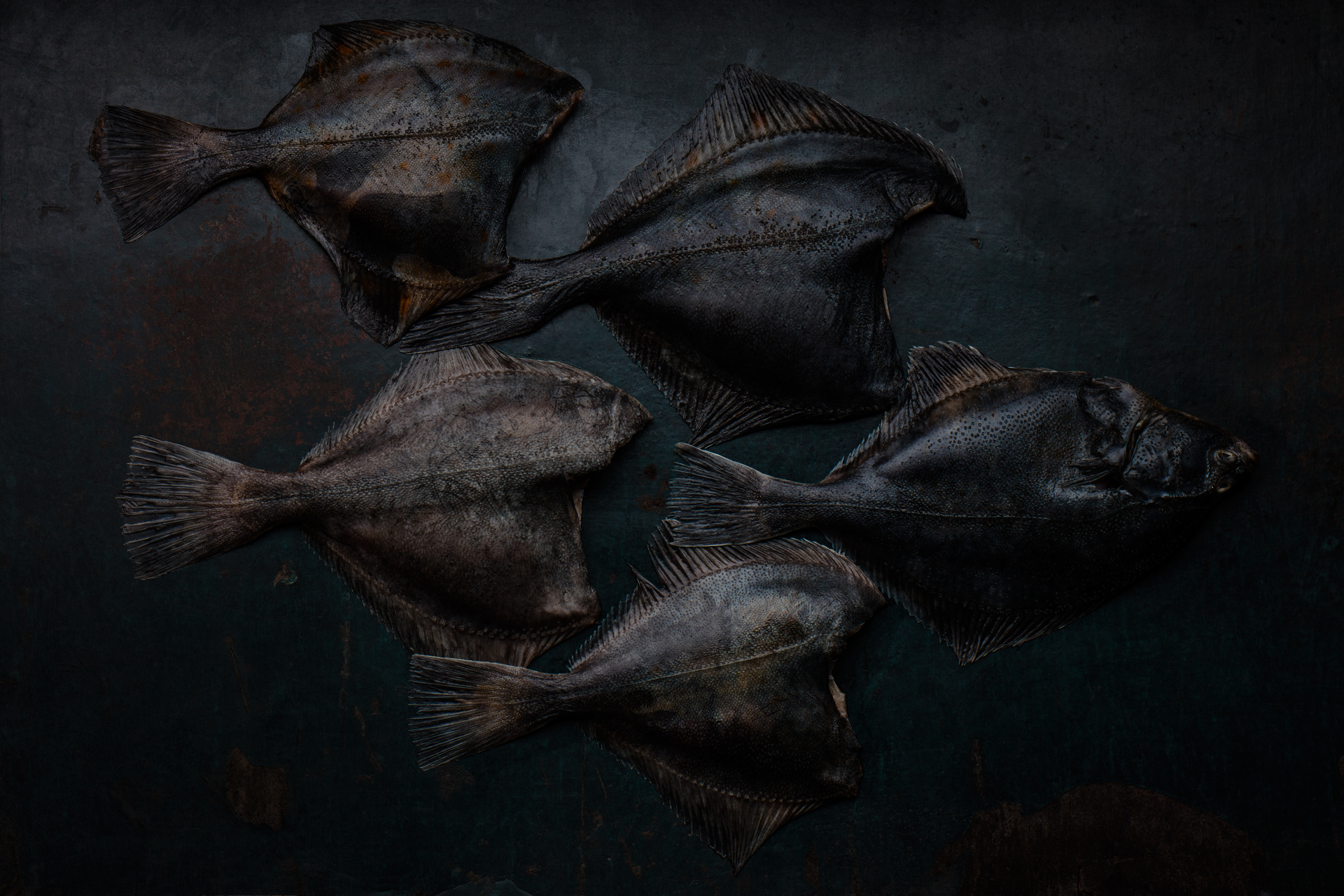 Still-life. instinct Instinct