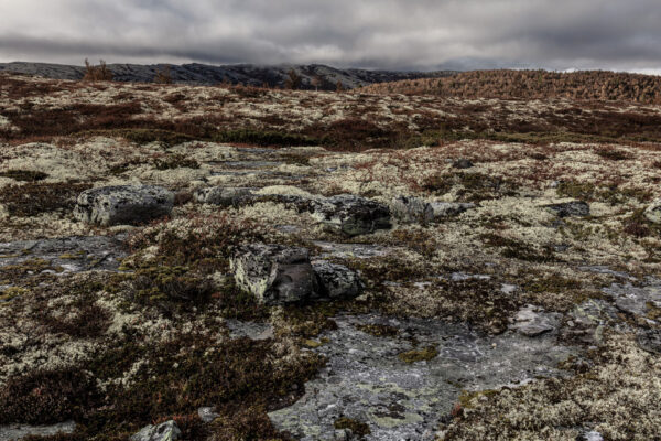 Rondane 1