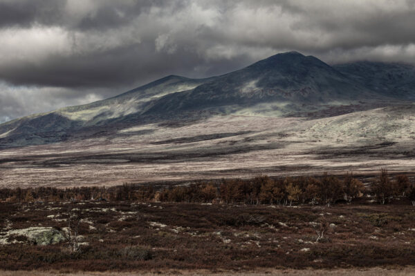 Rondane 2