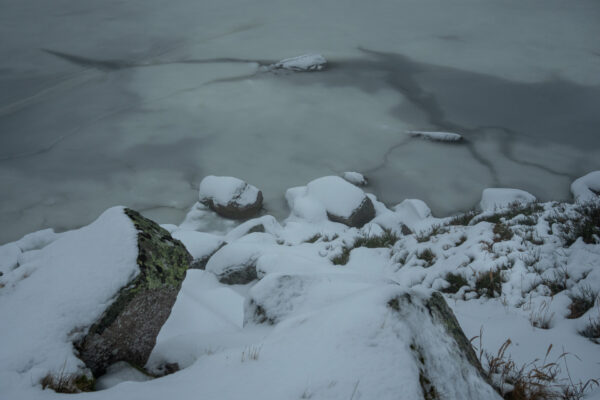 Solitude 1