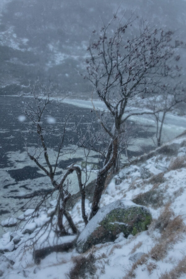 Solitude 5