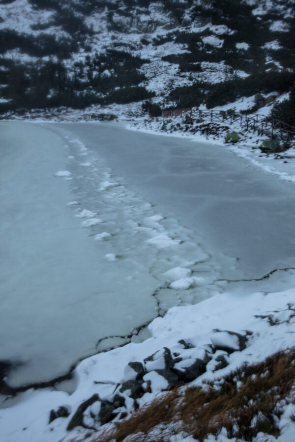 Solitude 7