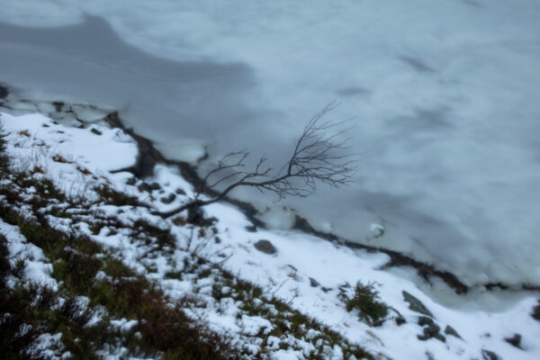 Solitude 8