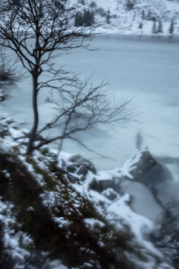 Solitude 9