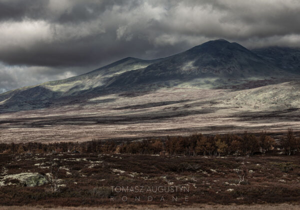 Plakat Rondane 2