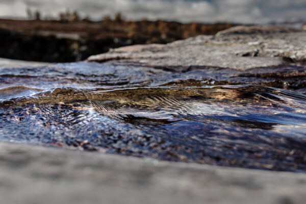 Rondane River 4