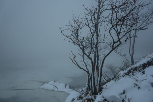 Solitude 2